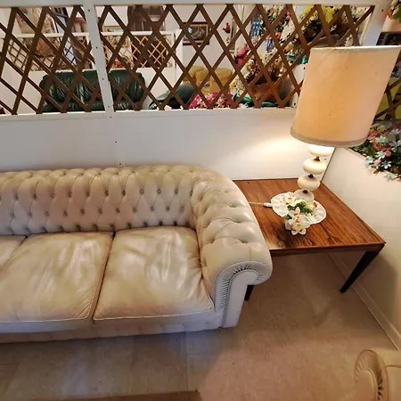 Kır Evi Flora *