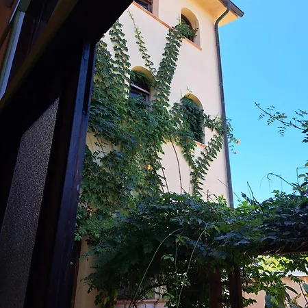 Flora Kır Evi Pizzolungo