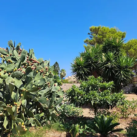 Casa di campagna Flora Pizzolungo