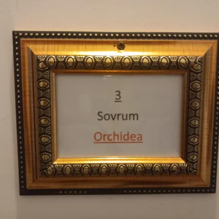 Flora Kır Evi *